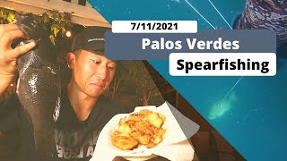 Opaleye Fish Fry  Spearfishing Catch amp Cook [upl. by Negem]