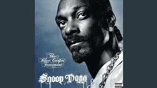 Snoop Dogg  Boss Life feat Akon amp Nate Dogg [upl. by Hamrnand]