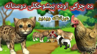 Pashto Cartoon  ده چرګى اوده پيشوخکلى دوستانه  Pashto Cartoon Story  Kashifs Cartoon [upl. by Groscr820]