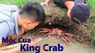 Hữu Bộ  Đi Móc Cua Đồng Và Cái Kết  Cua Hoàng Đế Nướng Mọi  Grilled KING CRAB [upl. by Nitsej364]