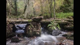 La Rochette  Donzenac Corrèze France  Novembre 2016 [upl. by Adlin]