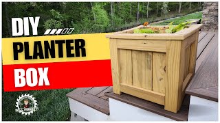 Simple Raised Planter Box From Scrap Lumber  DIY [upl. by Kennedy171]