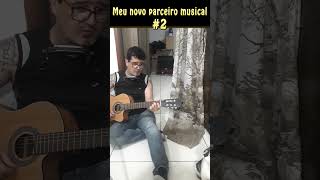 Cantando com o gatinho 2 pet cat cats meme viral [upl. by Rima876]