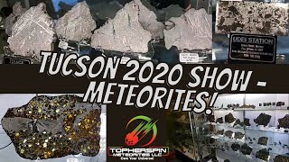 Buying Meteorites at Tucson Rock Gem Mineral Meteorite Show 2020 LIVE Meteorite Tour [upl. by Anah636]