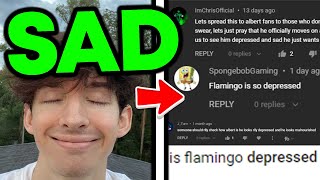 Is Flamingo Okay Flamingo Roblox quotDepressedquot [upl. by Hepza590]