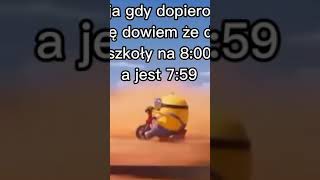 minionki dlacebie muzyka memes funny [upl. by Ulita]