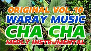 BORONGAN WARAY REMIX CHA CHA MEDLY [upl. by Lody624]