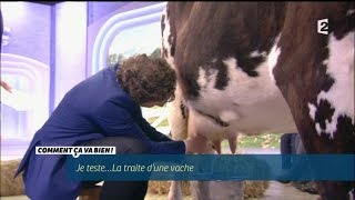 CONSO Traire une vache CCVB [upl. by Airamasor]