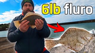 Catching FlatFish on Light Gear Whitehaven pier [upl. by Jansen]