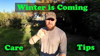 Winter is Coming  Winter Care Tips [upl. by Dnomyar]