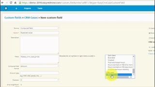 Custom Fields with Formula  Easy Redmine [upl. by Ynavoeg]