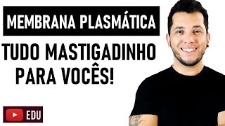 Membrana Plasmática Característica e Função Biologia Molecular com Patrick Gomes [upl. by Airdnaxela]