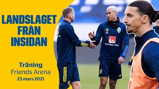 Zlatans första träning tillbaka i landslaget  Landslaget från insidan [upl. by Qooraf]