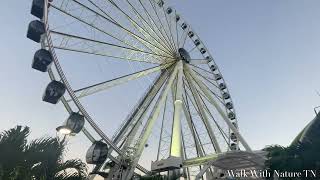 Skyviews Miami Observation Wheel at Bayside Marketplace Miami Florida [upl. by Leinto]