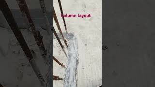 Column layout 1st floor by grid line method construction  Residential Building [upl. by Nnayt482]