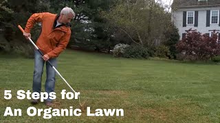 How to get an Organic Lawn in Five Steps [upl. by Hayton]