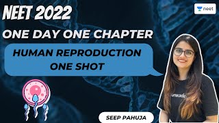 Human Reproduction  One Shot  One Day One Chapter  NEET 2022  Seep Pahuja  Unacademy NEET [upl. by Sibelle259]