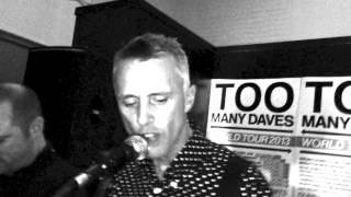 Too Many Daves  Nice Flowers and Fings Live in Dunedin 2013 [upl. by Aneloj855]