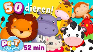 Pretlettertjes • Alle 50 Dierengeluiden • 52 min Special • Voor Baby Dreumes en Peuter • Nederlands [upl. by Vanya]