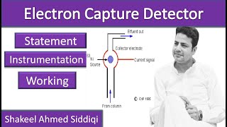 Electron Capture Detector [upl. by Erdah]