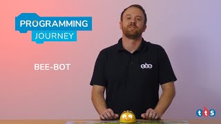 TTS Programming Journey  BeeBot [upl. by Ardnasak619]