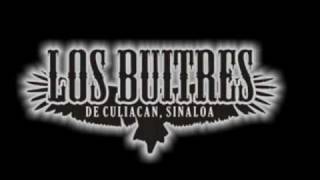 los buitresasosiacion antras letra [upl. by Mahau233]