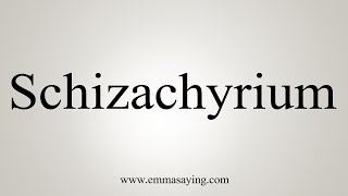 How To Say Schizachyrium [upl. by Allistir576]