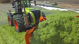 Lohnunternehmen Piening Teil 2  Grasernte mit Claas Axion Holmer Terra Variant im Doppelpack [upl. by Artenahs]