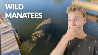 Kayaking with large Critters Ep 5 [upl. by Aynotal]