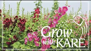 Grow with KARE All about annuals biennials and perennials [upl. by Inirt85]