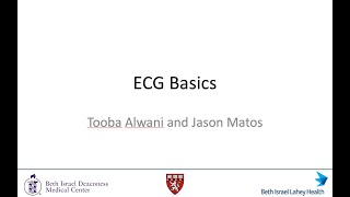 Session 1 ECG Basics [upl. by Einalam]