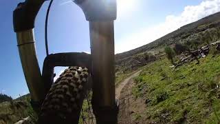 Selwyn Descent Woodhill MTB Park on BMC SF02 Fork Cam [upl. by Llennahs952]