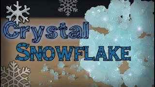 How to Make a Crystal Snowflake [upl. by Cuhp]