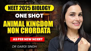 Animal Kingdom  One Shot  Non Chordata  NEET 2025 Biology  Dr Gargi Singh [upl. by Twitt]