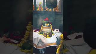 har har mahadev aryayadav shortvideo kailashkenivashi [upl. by Melosa]