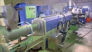 150 mm Side Screw Feeder Type Plastic Waste Recycling Machine Die Face Cutter [upl. by Harberd]