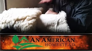 Animal Pelts and Tanning  An American Homestead [upl. by Kyd604]