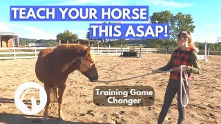 Groundwork For Horses The Very First Thing I Teach [upl. by Alleda]