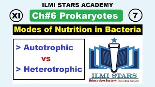 Modes of Nutrition in Bacteria Class 11 Biology Chapter 6 Prokaryotes [upl. by Ashwin]