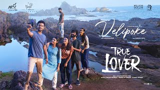 Vellipomaake Full Video Song  Saahasam Swaasaga Saagipo Full Video Songs  NagaChaitanya Manjima [upl. by Tiler]