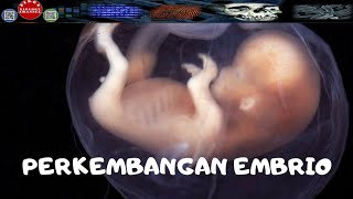 PERKEMBANGAN EMBRIOJANIN DARI ZIGOT SAMPAI LAHIR  DIRGA BIOLOGY CHANNEL [upl. by Gnuhn]