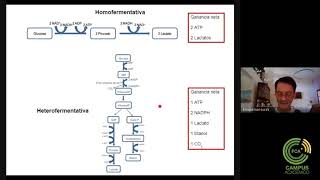 Clase Teórica N° 3 Metabolismo Microbiano Parte 1 [upl. by Gile]