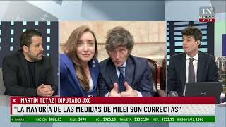 Martín Tetaz quotLa mayoría de las medidas de Javier Milei son correctasquot [upl. by Philcox750]