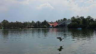 Lake of Chapultepec Food Area Mexico City [upl. by Norse]