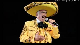 Vicente Fernández Cielo Rojo Karaoke 2 tonos y medio bajos [upl. by Yelnek]