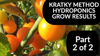 BA Kratky Method Hydroponics  Part 2 of 2 Grow Results [upl. by Cimbura]