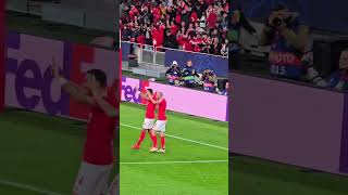 Golo AnuladoPavlidis Benfica x Bolonha benfica bolonha [upl. by Enaujed636]