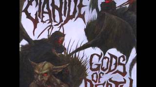 Cianide  Desecration Storm  Gods Of Death [upl. by Sarid]