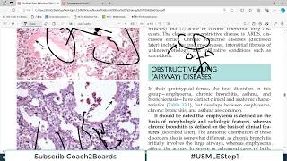 Chp13 Robbins Patho  Lung Pathology  Overiview of Obstructive vs Restrictive Lung Disorders [upl. by Nellir157]