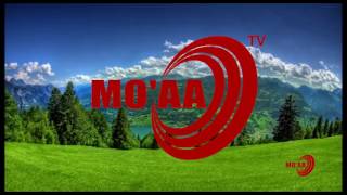 MOAA TV quotErgaa ganamaaquot Yesuus kan inni dhufe si fayyisuufi Luba Qannoo Galaan [upl. by Boyt]